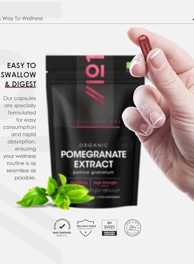 مستخلص لحاء الصنوبر العضوي 7500 مجم – يدعم الدفاعات المضادة للأكسدة والدورة الدموية وصحة البشرة، صنع في المملكة المتحدة، 90 كبسولة - Image 4